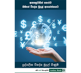 විදේශ මුදල් ආයෝජන ගිණුම
