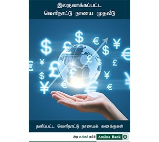 வெளிநாட்டு நாணய முதலீட்டு கணக்கு