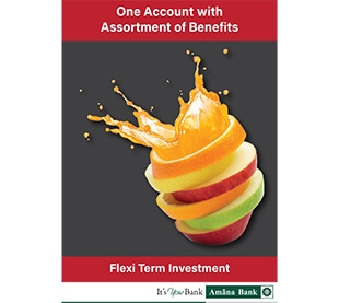 Flexi term investment