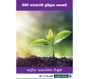 කාලීන ආයෝජන ගිණුම