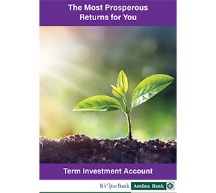 Term investment