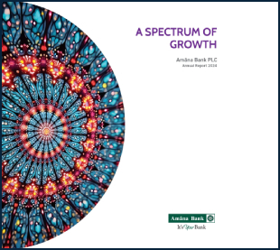  Annual Report 2024
