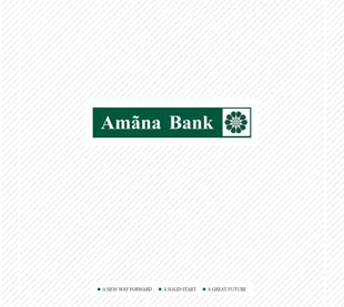 Annual Report 2011