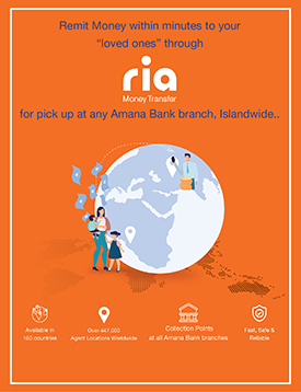 RIA Money Transfer Web Promotion