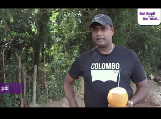 Amana bank Testimonial